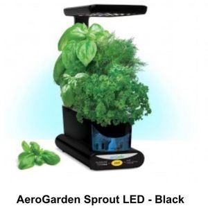 Areo Garden indoor growing kit